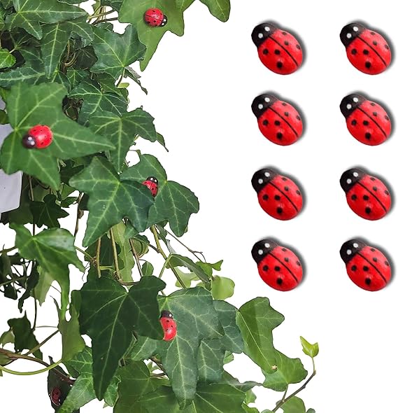 Rainteam 8pcs Plants Magnets Tiny Ladybug Pins Charms Funny Potted Plant Safe Magnets Cute House Plant Accessories,Christmas Decoration Gift for Plants Lovers (Ladybug)