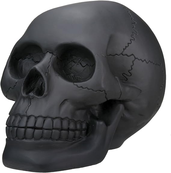 Black Skull Head Collectible Skeleton Decoration Statue