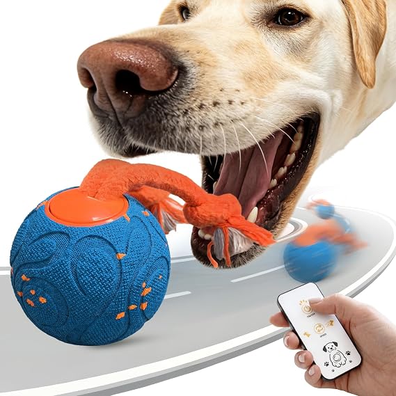 CloudValley Smart Interactive Dog Toy with Remote Start & Switchable Modes