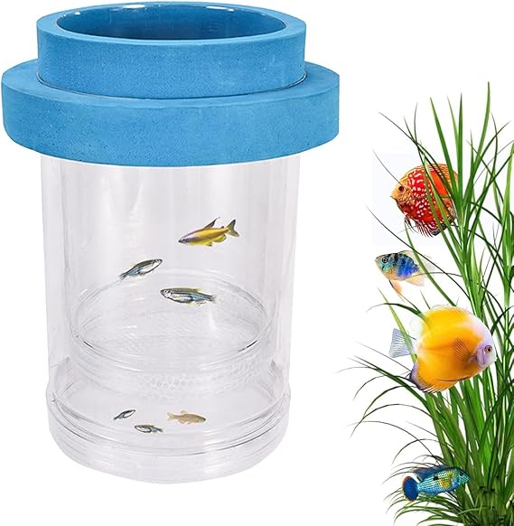 Aquarium Breeding Container, Fry Separator Incubator, Pet Box with Habitat Style, Grooming Tool with Enclosure Use, Lifestyle Resource, Accessories for Families Friends Adults Kids Exotic Fish School