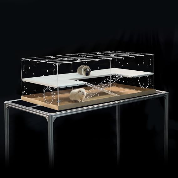 GuineaLoftTM Custom Acrylic Cage (Model-A3) - 4'x2'x1.33' High Wall Cage