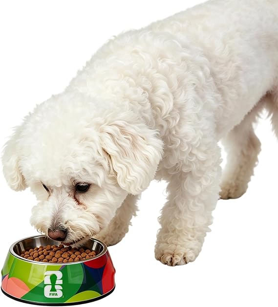 FIFA Stainless Steel Dog Bowl, Non-Slip Dishwasher Safe, 160ML