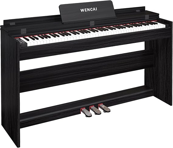 WENCAI Digital Piano 88 Key Fully Weighted Keyboard, Black | Hammer Action Electric Pianos, Wooden Upright Electronic Piano for Beginner & Professional, Midi Compatible, Triple Pedal