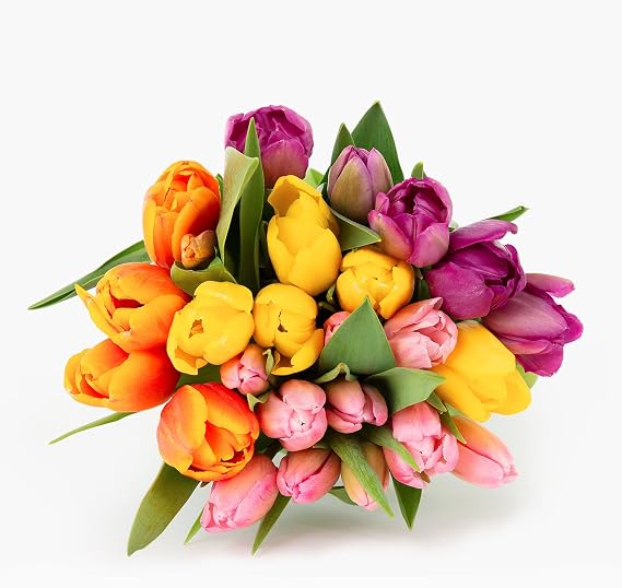 BloomsyBox Rainbow Tulip Bouquet - 25 Stunning, Bright, Multicolored Tulip Stems with Care Card & Flower Food For Your Home Decor - Perfect for Weddings, Anniversaries, Birthdays & Get Well Soon Gifts
