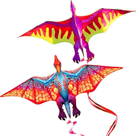 Touch the sky 2 Pack Dragon Kites for Kids and Adults, Easy to Fly, Exquisite Fabrics and Unique Structure Design, Excellent Outdoor Games and Activity Toys, Suitable for Beginners.