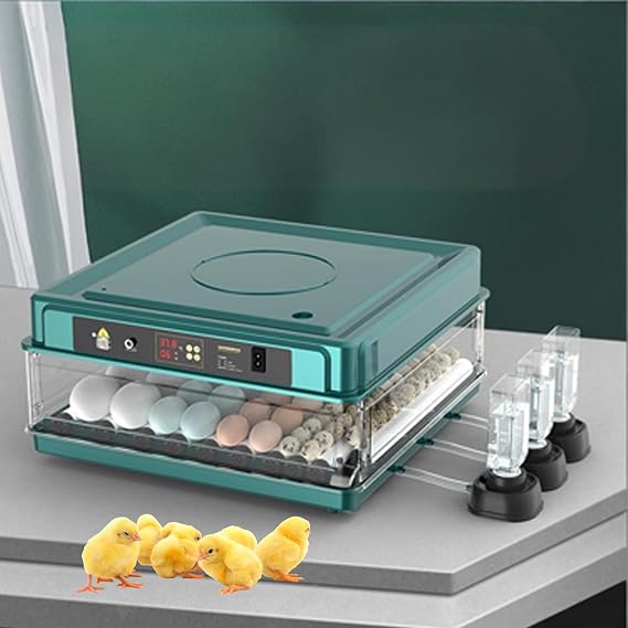 Adjustable Egg Incubators with Automatic Turning and Humidity Control, Built-In Digital Readout Screen, Suitable For Hatching Chicken, Duck And Quail Fertile Eggs
