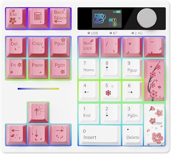 X BOYI TD31Pro Mechanical Numpad,Hot Swap Wireless BT5.0/2.4GHz/Type-C Wired Numeric Keypad with Screen&Knob,30Keys PBT Keycaps RGB Gaming Macro Number Pad for PC Laptop (Pink Cherry Blossom)