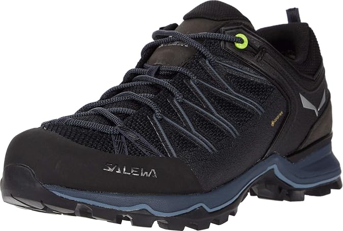 Salewa Mountain Trainer Lite Gore-Tex® Men's Shoes