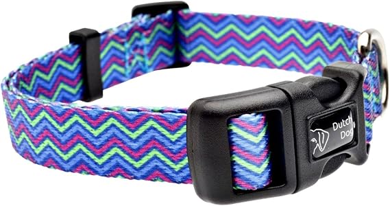 Fashion Dog Collar, 10 by 15-Inch, Heightened Hyacinth, Blue/Lime