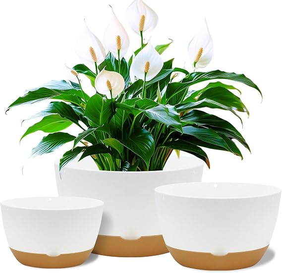 Koalaime 8/10/12 Inch Pots for Indoor Plants, Large Self Watering Planters with Drainage and Saucers, Plastic Outdoor Flower Pot, Set of 3, White