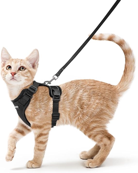 rabbitgoo Kedi koşum takımı ve tasma, yürümek için, kırılmaz, yumuşak, ayarlanabilir, kediler için yelek koşum, kolay kontrol, nefes alır, yansıtıcı şeritler, ceket, siyah, S