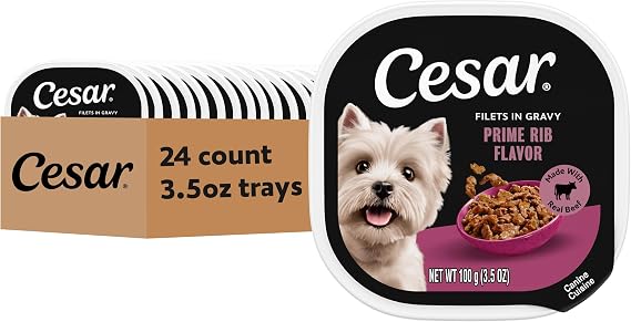 Cesar Filets in Gravy Wet Dog Food, Prime Rib Flavor, 3.5 oz, 24 Count