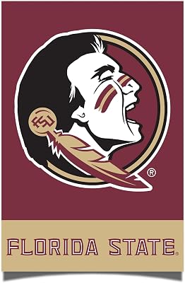 Desert Cactus Florida State University Poster FSU Seminoles 11 x 17 Inch Room Office Decor Decoration Official Fan Gear 11x17 inch,Version 1A