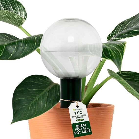 Blumat Clear Globes Single Pack - Automatic Watering Stake with a Beautiful Look