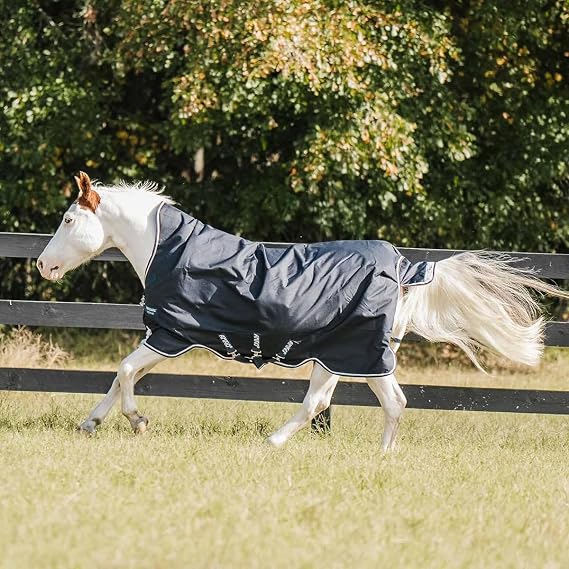 Amigo Bravo 12 Wug Turnout Sheet (75, Navy/Plum) (AARW31)