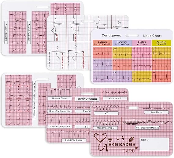 EKG Badge Card EKG Badge Buddy Paramedic Accessories RN ER Nurse Essentials