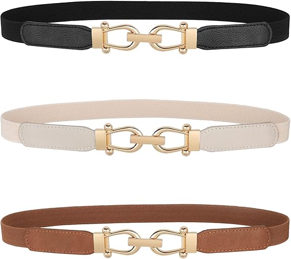 JASGOOD Women Skinny Elastic Belt for Dresses,Thin Retro Stretch Waist Belt with Golden Buckle