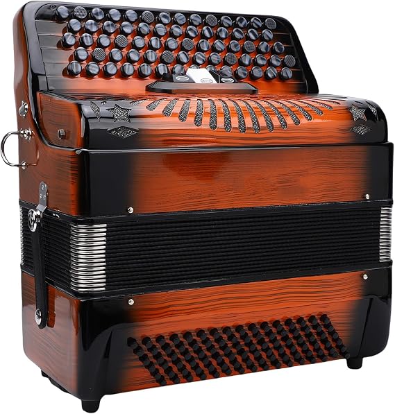 Diydeg Accordion, 69 Keys 96 Bass Buttons Chromatic Scale Instrument, F B E Tuning, Quality Reeds, Clear Pleasant Tone, with Padded Portable Bag, for Beginner Professional Player