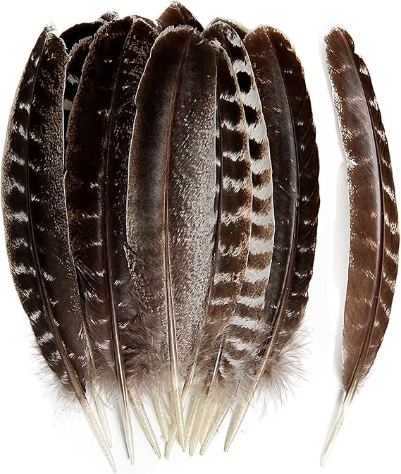 24pcs Natural Wild Turkey Tails Feathers Quill Bulk 8-10inch 20-25cm for DIY Crafts Project Collection Wedding Decoration Wild Turkey Tails