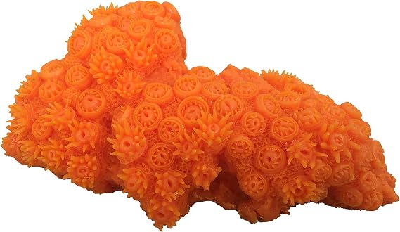 Weco 37777087: South Pacific Coral Tubastrea Ornament, Orange, Md