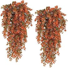 2PCS Artificial Plants Eucalyptus Hanging, 30in Fake Plants Greenery Vines, for Indoor and Outdoor Wall, Garden, Home, Office, Bedroom Decor(Multi-colored)