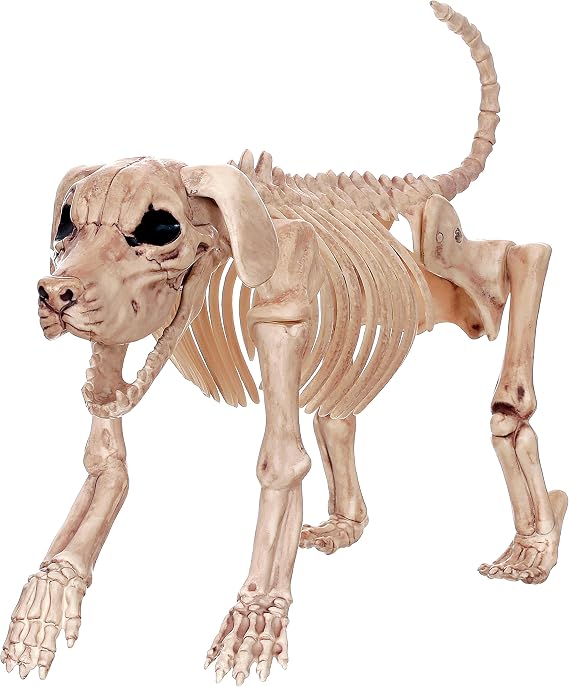 Crazy Bonez Skeleton Dog - Beagle Bonez