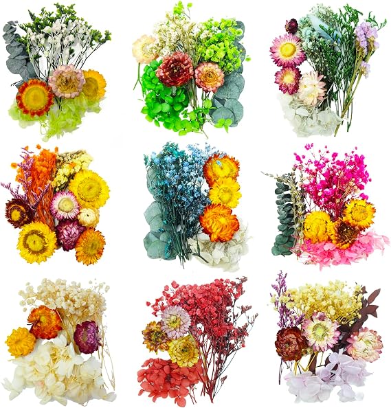 TooGet Mini Dried Flowers 9 Bags Natural Real Small Dry Flower Leaves for Crafts Colorful Mixed Color Dry Wildflowers Plants for DIY Art Candle Resin, Jewelry Crafts, Weeding Home Decorations