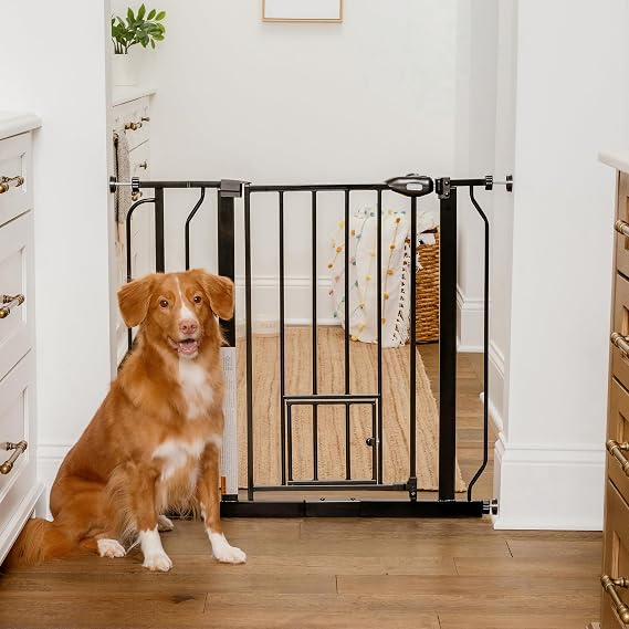 Carlson 2936.5 Extra Wide Dog Gate with Small Pet Door, Walk-Through Pressure Mounted Metal Indoor Pet Safety Gate, Black, Tested and Trusted by Pet Parents, American Designed, American Owned