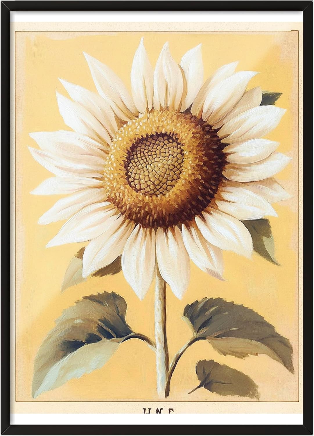 Zestia Siyah Çerçeveli Tablo, Ayçiçeği, Vintage Çiçek Sanatı Poster No: 107436 70 x 100