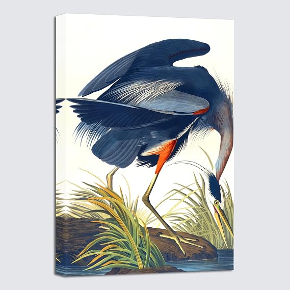 Wieco Art Canvas Print Wall Art Great Blue Heron by John James Audubon Vintage Poster Birds of America Antique Bird Illustration Wall Art for Living Room Home Kitchen Decorations