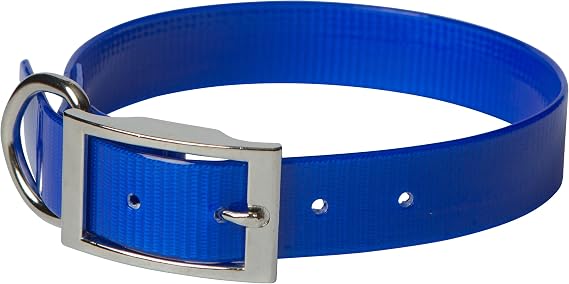 SunGlo Regular Dog Collar, 1" Wide, Blue, Fits 16"- 19.5" Neck Sizes, Vibrant Colors & Tough Construction for Active Dogs