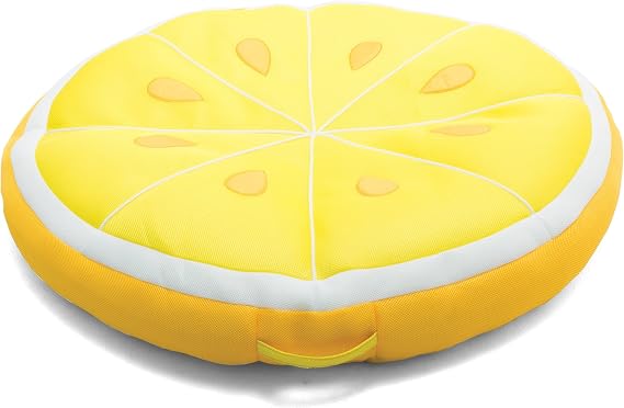 Big Joe Fruit Pool Floats, No Inflation Needed, Quick Draining Fabric, Round Loungers and Pool Noodles