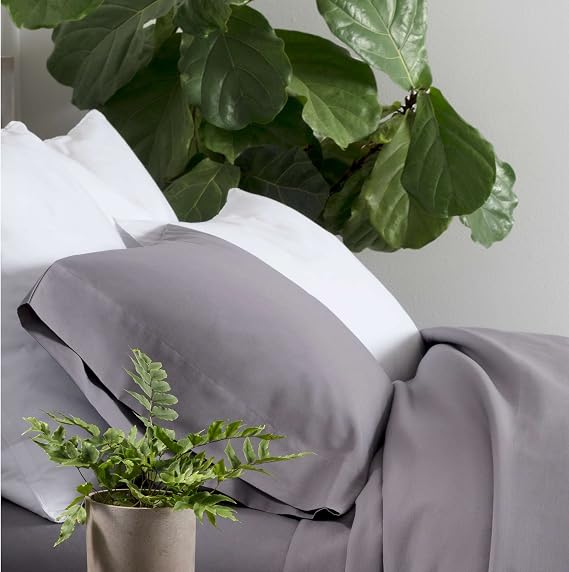 Pine Cone Hill Essential Percale White Solid Cotton Duvet Sham, Standard