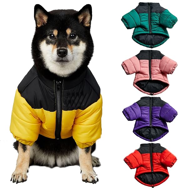 Warm Dog Coat Winter Jacket for Small Medium Dogs Cats -Thicken Dog Coat Windbreaker Puppy Winter Clothes for Cold Weather Snowday (Yellow, 2XL (Chest: 26'' / Suggest: 20-30 lbs))