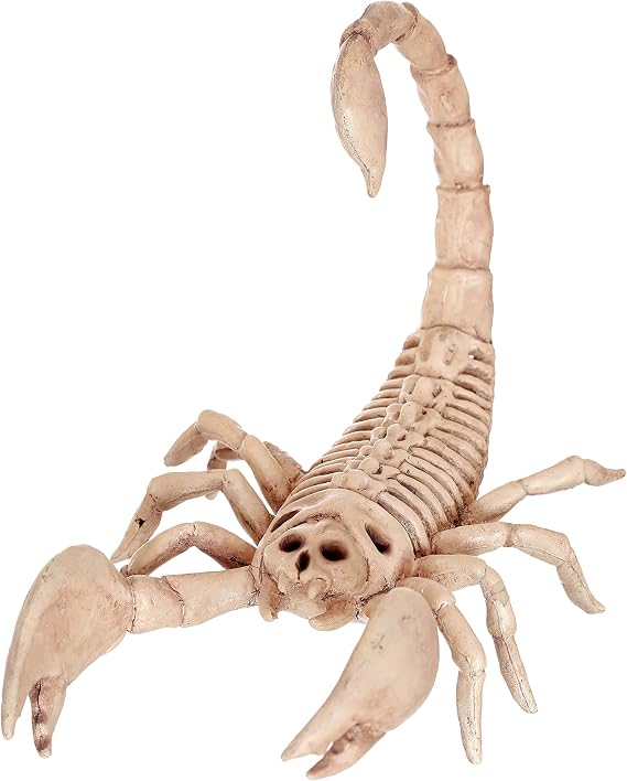 Crazy Bonez Skeleton Scorpion